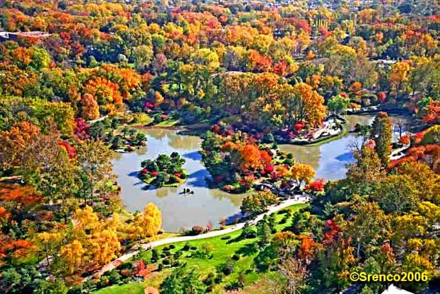 Missouri Botanical GArden Fall Colors